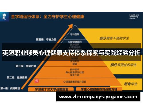 英超职业球员心理健康支持体系探索与实践经验分析