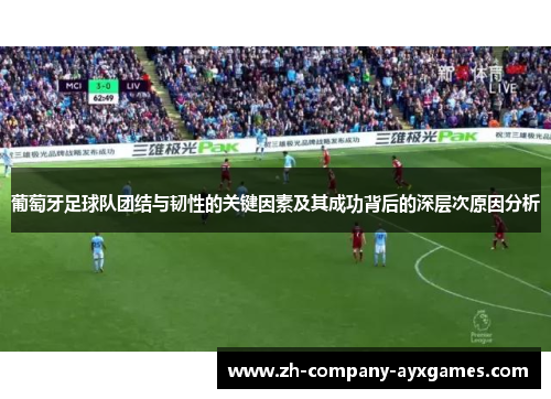 葡萄牙足球队团结与韧性的关键因素及其成功背后的深层次原因分析